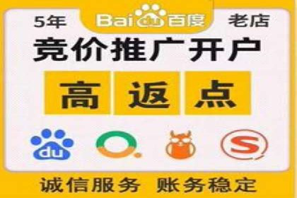 百度竞价推广公司经典案例解析：广告投放策略的智慧